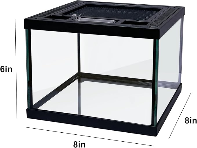 Mini Reptile Glass Terrarium Tank 8 * 8 * 6" Full View, Amphibians Habitat Enclosure Cage for Frog,Spiders,Dubia Cockroach,Praying Mantis,Cricket,Tarantula,Hermit Crab