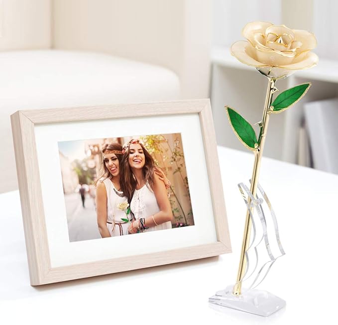 Ejoyous 24K Gold Rose, Forever Preserved Real Rose Lover Mom Wife Daughter Girl Friend, Unique Present on Valentines Day, Wedding Anniversary, Birthday, Proposal, Reward (Ivory