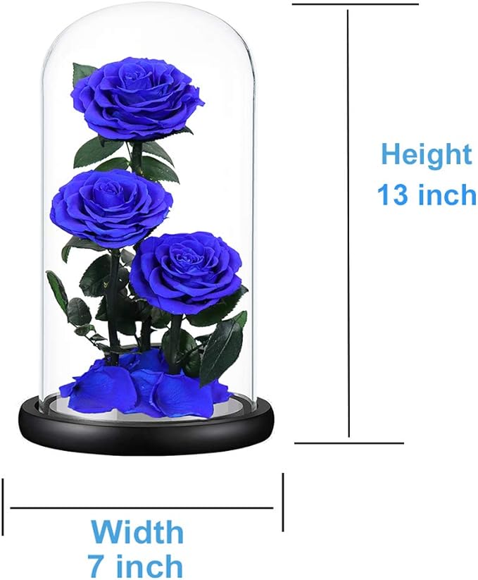 Preserved Roses Handmade Preserved Flowers in Glass Dome, Blue Rose Never Withered, Birthday Gifts for Women (13 inch)