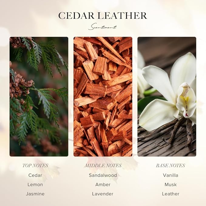 Scentiment Diffuser Oil – Cedar Leather | Warm Woody Fragrance with Notes of Leather, Cedarwood, Amber & Soft Vanilla | for Cold Air Diffusers (120 mL)