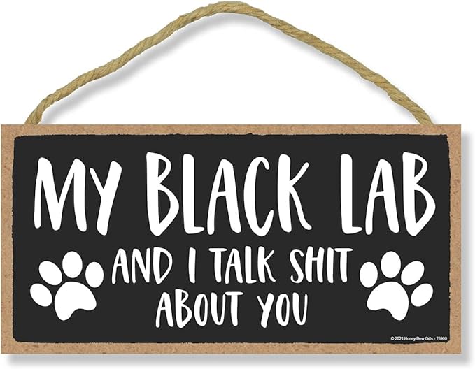 Honey Dew Gifts, My Black Lab and I Talk Shit About You, Funny Dog Wall Hanging Decor, Decorative Wood Signs for Pet Lovers, Black Labrador Home Sign, 10 Inch by 5 Inch Pet Decor, 76900