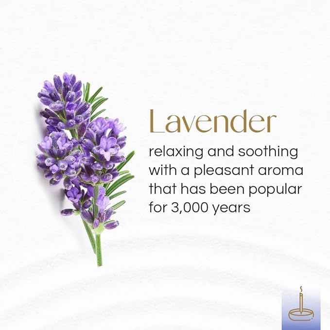Gonesh - Extra Rich Scented Incense Sticks - Non-Toxic 10” Slow Burn Aromatic Sticks - Lavender - 100 Pack