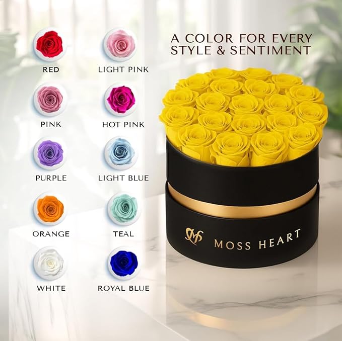 20 Mini Preserved Roses, Round Luxury Gift Box, Real Forever Roses Last 1+ Year, Premium Romantic Gift for Women, Wife, Girlfriend, Mother’s Day, Birthday, Anniversary, Valentine’s Day