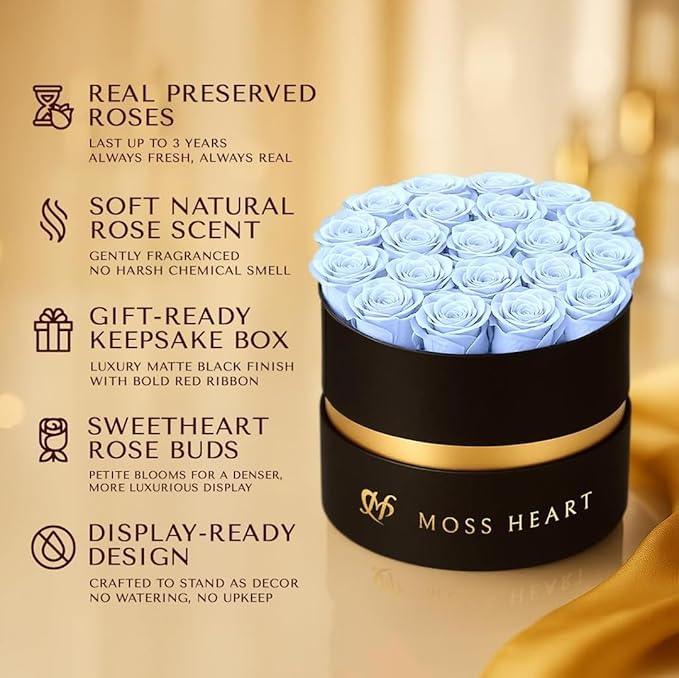 20 Mini Preserved Roses, Round Luxury Gift Box, Real Forever Roses Last 1+ Year, Premium Romantic Gift for Women, Wife, Girlfriend, Mother’s Day, Birthday, Anniversary, Valentine’s Day