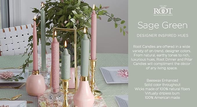 Root Candles 12-Count Unscented Taper Candles Smooth Hand-Dipped Dripless Beeswax Enhanced Boxed Candle Set, 12-Inch, Sage Green