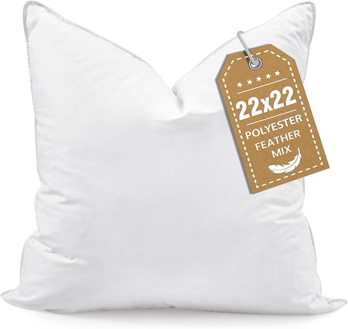 BHZ 22x22 Throw Pillow Insert