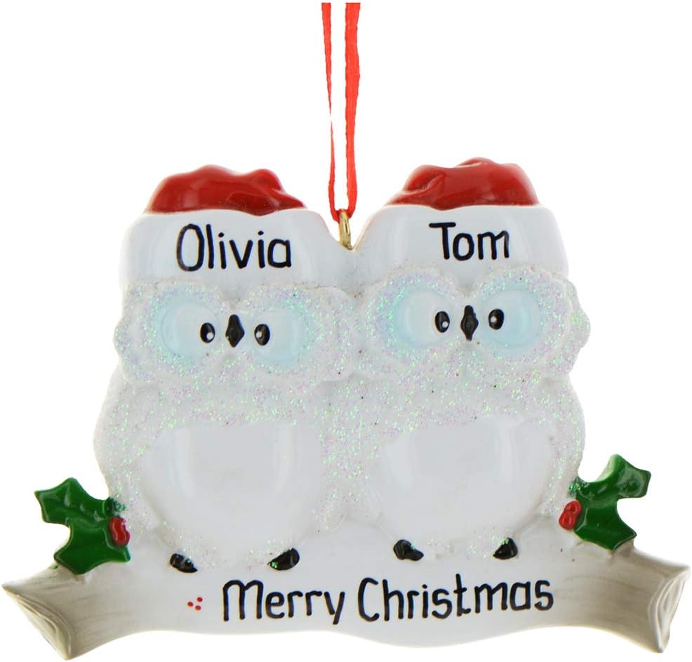 3D Personalized Our First Christmas Ornament 2025 | Custom Owl Couple Ornaments Winter White Owls Couples Ornament 2025 Family of 2 Unique for a Couple Ornaments Couples Unique Gifts