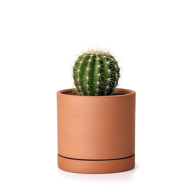 D'vine Dev X-Small 4 Inch Terracotta Plant Pot with Drainage Hole and Saucer, Round Cylinder Planter Pot for Indoor Plants, 40-X-A-1