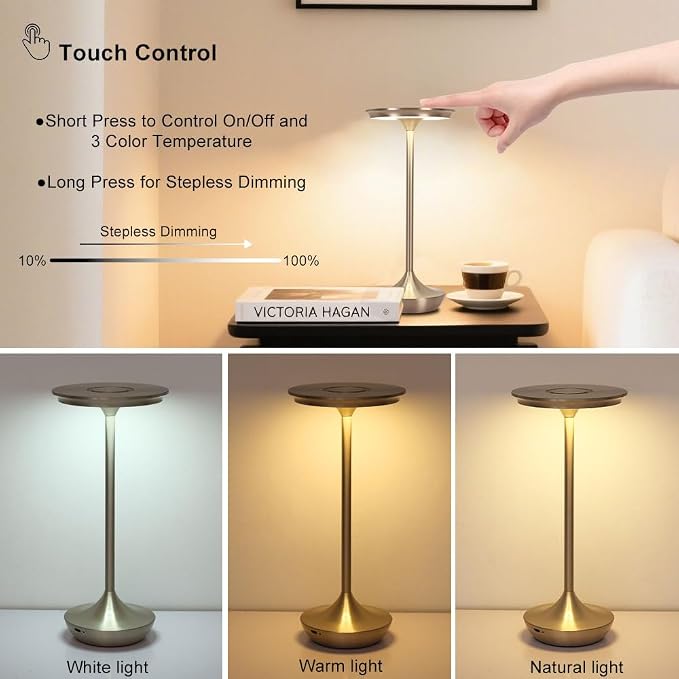 Cordless Table Lamp Set of 2,Portable Rechargeable 6000mAh Outdoor LED Table Lamps,3 Color Stepless Dimming Touch Battery Powered Lamp, Table Light for Restaurant/Patio/Camping/Bedroom(Silver)