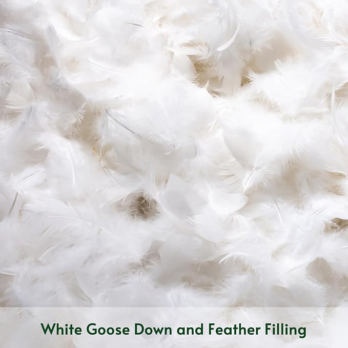 OTOSTAR Pack of 2 Down and Feather Throw Pillow Inserts, 18 x 18 Soft Fluffy Square Pillow Inserts with 100% Cotton Cover Decorative Pillows for Sofa Couch Bed-White