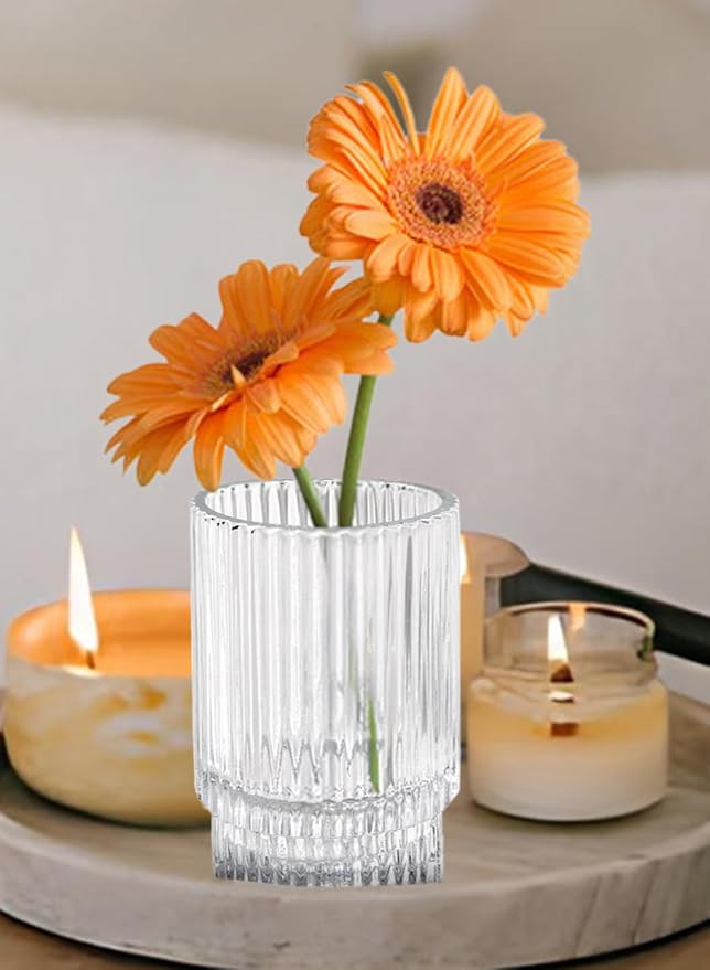 Serene Spaces Living Clear Ribbed Glass Votive Holder, Decorative Centerpiece for Wedding, Christmas, Thanksgiving, Dining Table, Home Décor, 2.25" Diameter & 3.75" Tall, Pack of 32