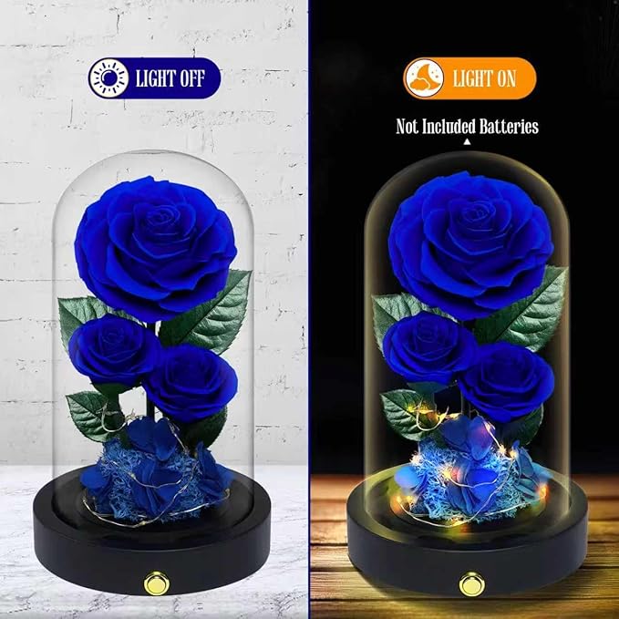 3 Preserved Flowers Roses in Glass Dome for Beauty and The Beast Decor Real Rosas Eternas for Women Mom Birthday,Forever Blue Roses for Delivery,Christmas for Wife Girlfriend Her
