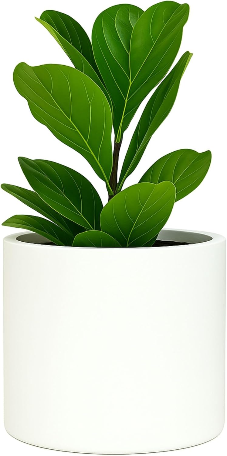 Fox & Fern 8 Inch Plant Pot with Drainage Plug — Premium Lightweight Fiberstone Matte White Planter; Indoor & Outdoor Planter; 8 Inch Pots for Plants; Weather Resistant & UV Resistant