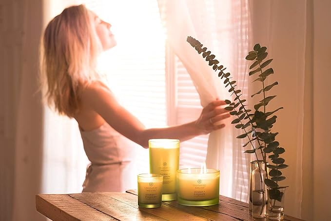 Chesapeake Bay Candle PT40886 Scented Candle Awaken + Invigorate (Lemongrass Eucalyptus) Medium Green Home Decor 8.8oz (Pack of 4)