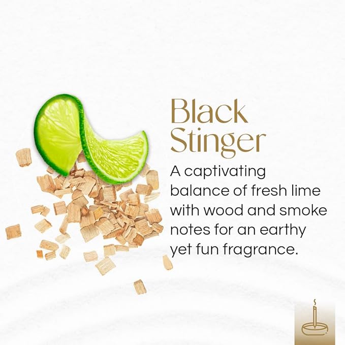 Gonesh - Extra Rich Incense Sticks - Non-Toxic 10” Slow Burn Aromatic Sticks - Black Stinger - 100 Count