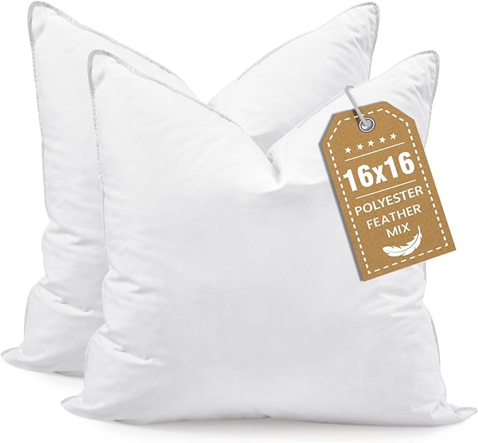 BHZ Euro Throw Pillow Inserts, 16x16 Down Feather Alternative Pillow Inserts Set of 2, Decorative Soft Large Square White Throw Pillows Insert for Couch Bed Dorm Sofa with Breathable Cover