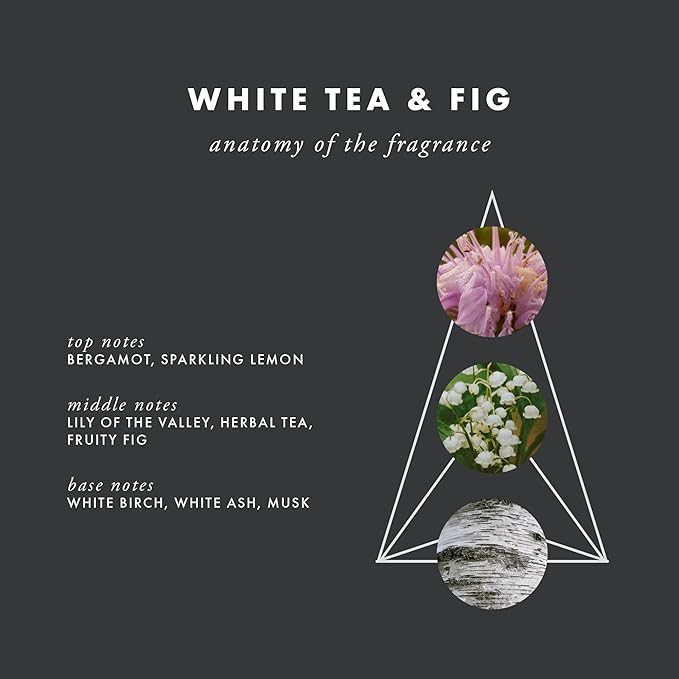 ScentAir Whisper Home Monthly Plug-in Refill, Fragrance Cartridge for Home and Office, White Tea & Fig