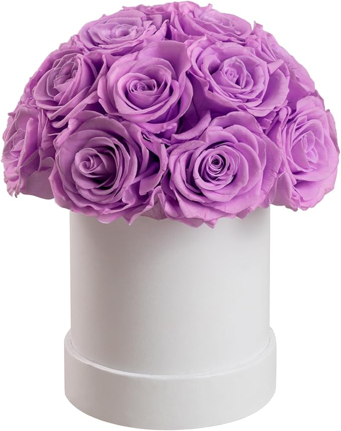 18 Preserved Roses in Round Dome Shape, Mother's Day Real Forever Flowers Rose Box, Eternal Rose Gift for Her Women Girl Friend Wife, Flower Gift for Valentines Day(Purple)