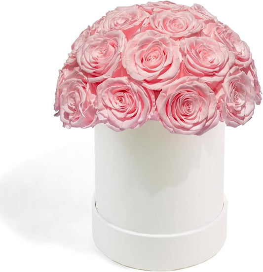 27 Preserved Roses in Round Dome Shape, Mother's Day Real Forever Flowers Rose Box, Eternal Rose Gift for Her Women Girl Friend Wife, Flower Gift for Valentines Day(Pink)