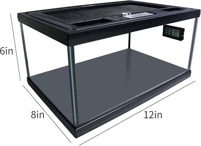 Reptile Glass Terrarium Tank 12"*8"*6",Small Cage Full View with Top Screen Ventilation Habitat Enclosure for Tarantula,Frog,Gecko,Insects,Spiders,Snakes,Hermit Crab,Turtle,Fish