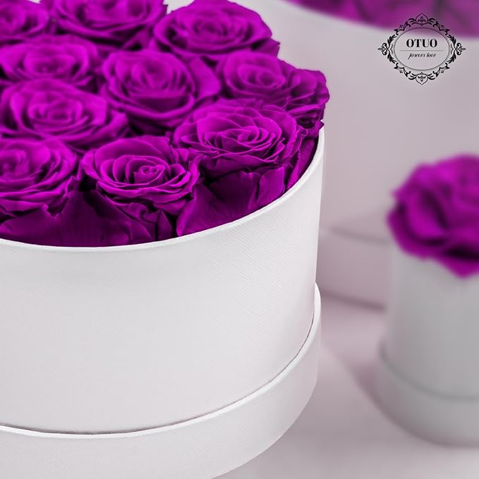 12 Piece Preserved Roses in a Box - Forever Flowers for Delivery Prime, Eternal Roses Mothers Gifts for Mom, Valentine's Day, Wife Anniversary Birthday Gifts for Women(Purple)