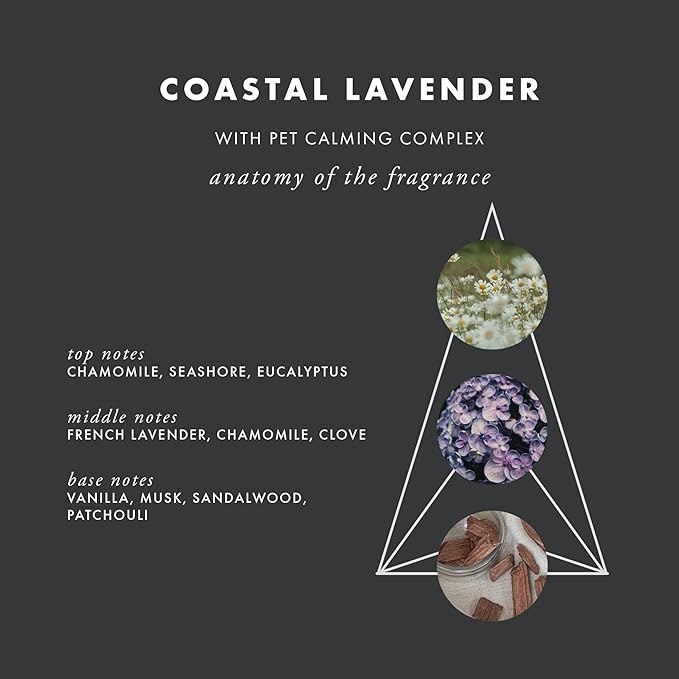 ScentAir Whisper Home Monthly Plug-in Refill, Fragrance Cartridge for Home and Office, Coastal Lavender Pet Calming