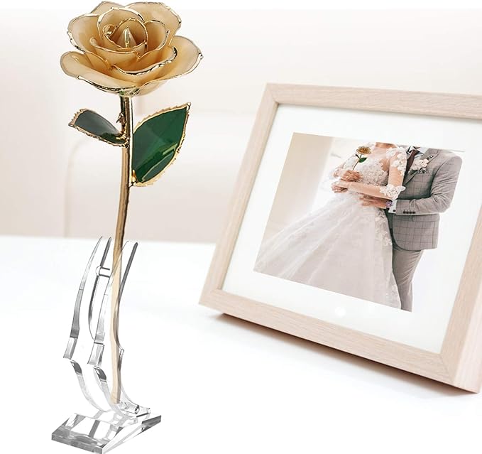 24k Gold Dipped White Rose Long Stem Forever Preserved Rose Flower, Gift for Her, Mom, Wife on Valentine's Day/Mothers Day/Christmas/Birthday/Anniversary/Wedding