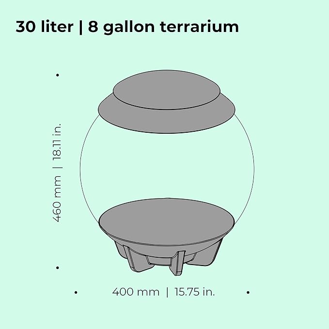 biOrb AIR 30, Fully Automated Terrarium for Arid, Temperate, or Tropical Plants, Gray