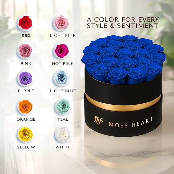 20 Mini Preserved Roses, Round Luxury Gift Box, Real Forever Roses Last 1+ Year, Premium Romantic Gift for Women, Wife, Girlfriend, Mother’s Day, Birthday, Anniversary, Valentine’s Day