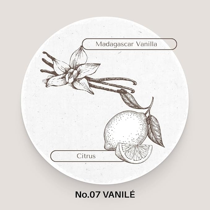 MODERATO Los Angeles No.07 VANILÉ – Luxury Madagascar Vanilla Scented Coconut Wax Candle, Creamy & Sophisticated, Citrus, Crystal Clear Glass Vessel, 50 Hour Burn, Candle Gift, Made in USA 8.5oz