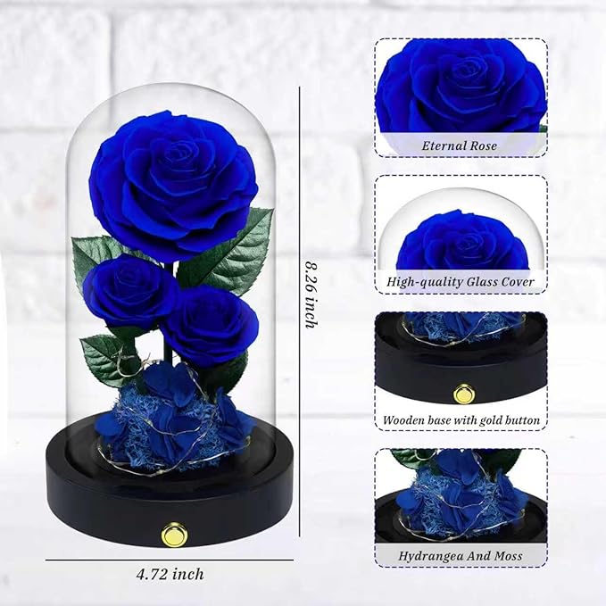 3 Preserved Flowers Roses in Glass Dome for Beauty and The Beast Decor Real Rosas Eternas for Women Mom Birthday,Forever Blue Roses for Delivery,Christmas for Wife Girlfriend Her