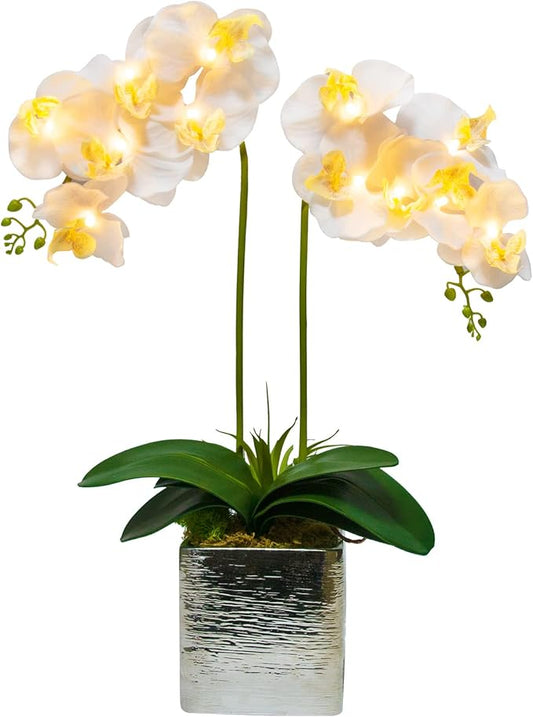 HOMESEASONS Orchid Lamp-LED Lighted Orchid Arrangements,Pre Lit Artificial Orchid,Light Up Flower Lights, Faux Orchid Phalaenopsis Arrangement (White)