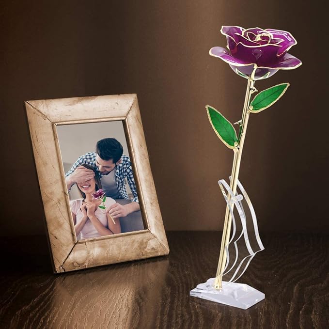 Ejoyous Gold Dipped Rose with Stand, Long Stem Forever Preserved Rose Flower Her and Wife Mother Girlfriend on Valentine's Day Birthday Christmas Day Anniversary Mother Day