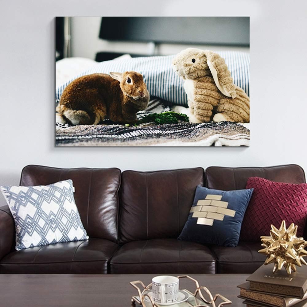 NWT Custom Canvas Prints with Your Photos for Pet/Animal, Personalized Canvas Pictures for Wall to Print Framed 8x10 inches