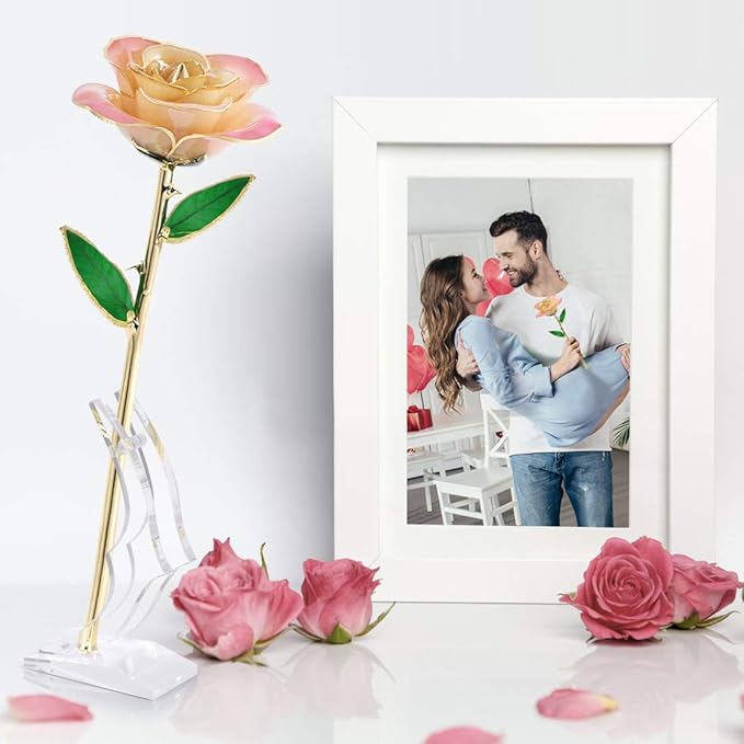 Ejoyous 24K Gold Rose, Forever Preserved Real Rose Lover Mom Wife Daughter Girl Friend, Unique Present on Mother's Day, Wedding Anniversary, Birthday, Proposal, Reward (White