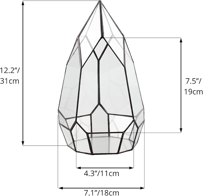 NCYP No Door Glass Geometric Terrarium Planter for Succulent Plants, Fern, Balcony Display Pot - Black Miniature Botanical Garden, Large (Terrarium Only) 12.2" Height, 7.1" Width