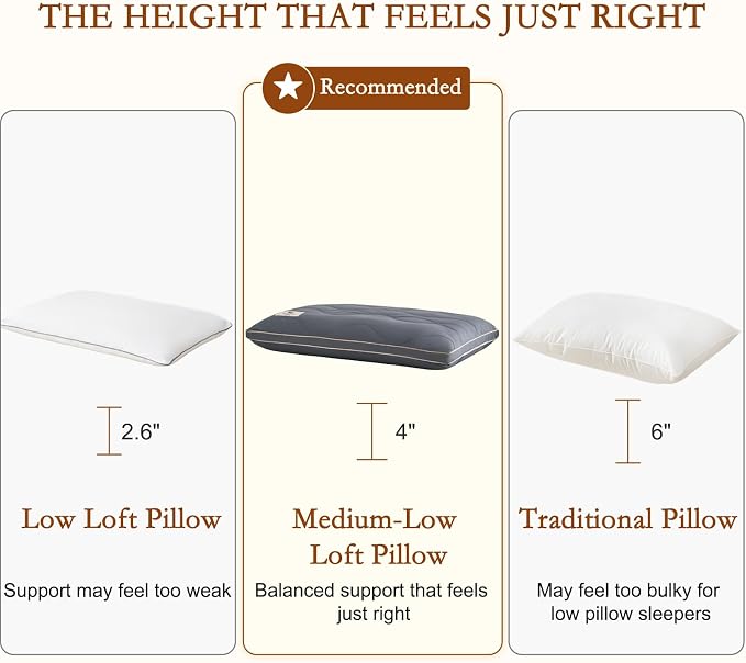 YOUR MOON Natural Wool Pillow Queen, Flat & Thin Wool Pillow for Sleeping, Low-Loft Bed Pillows for Back and Stomach Sleepers, Breathable Cotton Cover(Gray)
