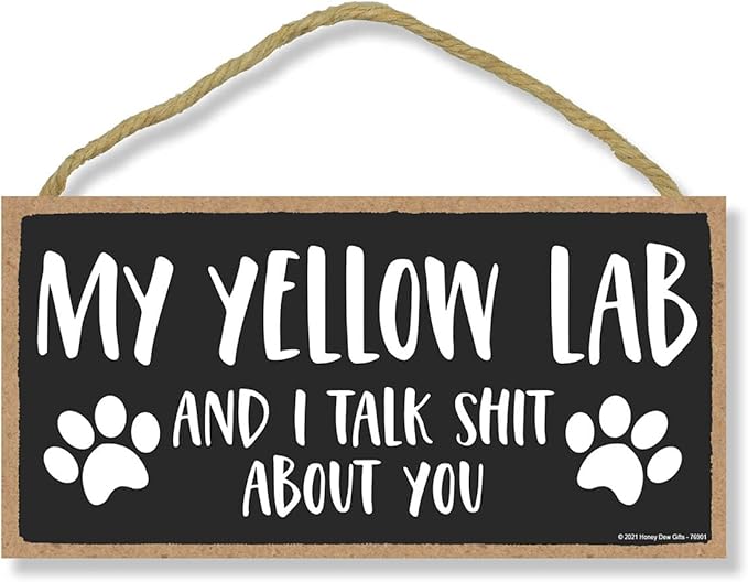 Honey Dew Gifts, My Yellow Lab and I Talk Shit About You, Funny Dog Wall Hanging Decor, Decorative Wood Signs for Pet Lovers, Yellow Labrador Home Sign, Wall Art, 10 Inch by 5 Inch, 76901