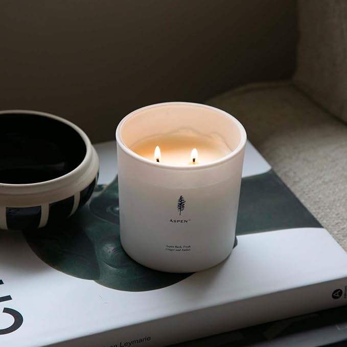 Archipelago Botanicals Aspen Luxe Candle, Aspen Bark, Amber and Musk Scent, Elegant White Glass Jar Candle, Coconut Wax, Double Wicks Burn 100 Hours (13 oz)
