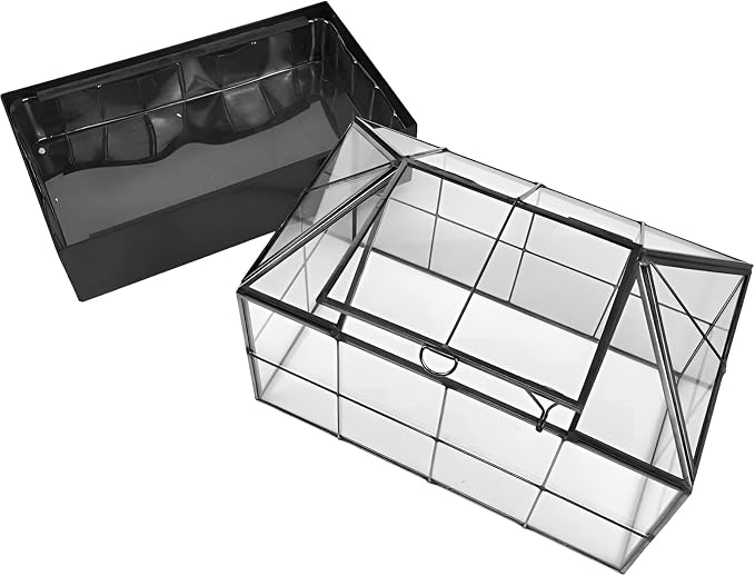 YIMORENCE V Large Tall Plant Terrarium Glass Greenhouse with Lid and Tray, Indoor Tabletop Orchid Succulent Cacti Kit 9.5'X9.8'X5.6'