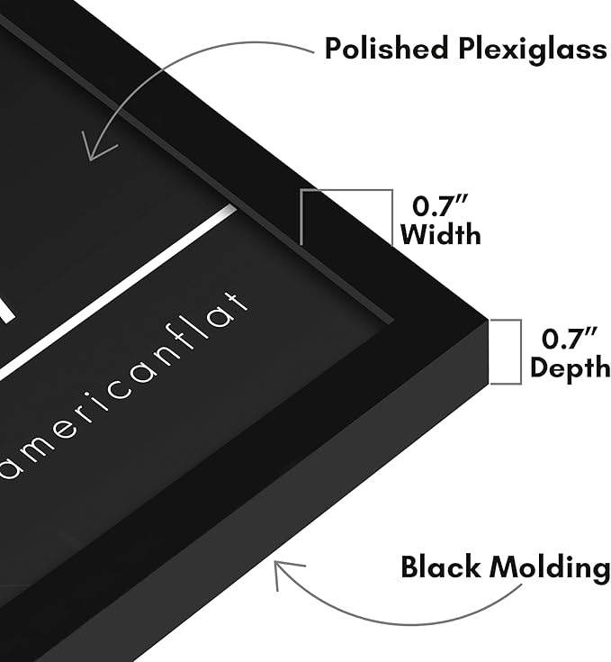 Americanflat 19x27 Poster Frame with Polished Plexiglass - Streamline Collection - Thin Border Picture Frame for Wall Display - Hanging Hardware Included - Black