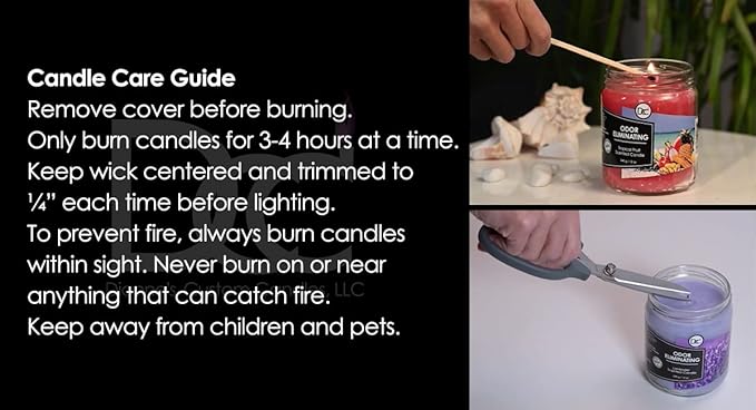 Vetiver Odor Eliminating Highly Fragranced Candle - Eliminates 95% of Pet, Smoke, Food, and Other Smells Quickly - Up to 80 Hour Burn time - 12 Ounce Premium Soy Blend