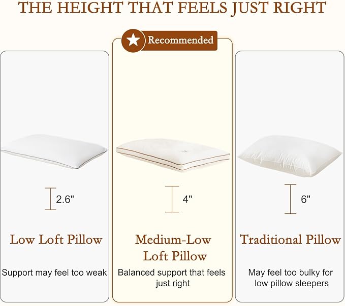 YOUR MOON Natural Wool Pillow King Size Set of 2, Flat & Thin Wool Pillow for Sleeping, Low-Loft Bed Pillows for Back and Stomach Sleepers, Breathable Cotton Cover(Off White)