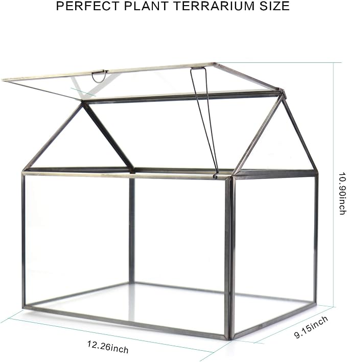 Large Glass Plant Terrarium – House Succulent Glass Terrarium Kit with Lip Glass Greenhouse Terrarium for Plant 12.26X9.15X10.9inch (Black 2)