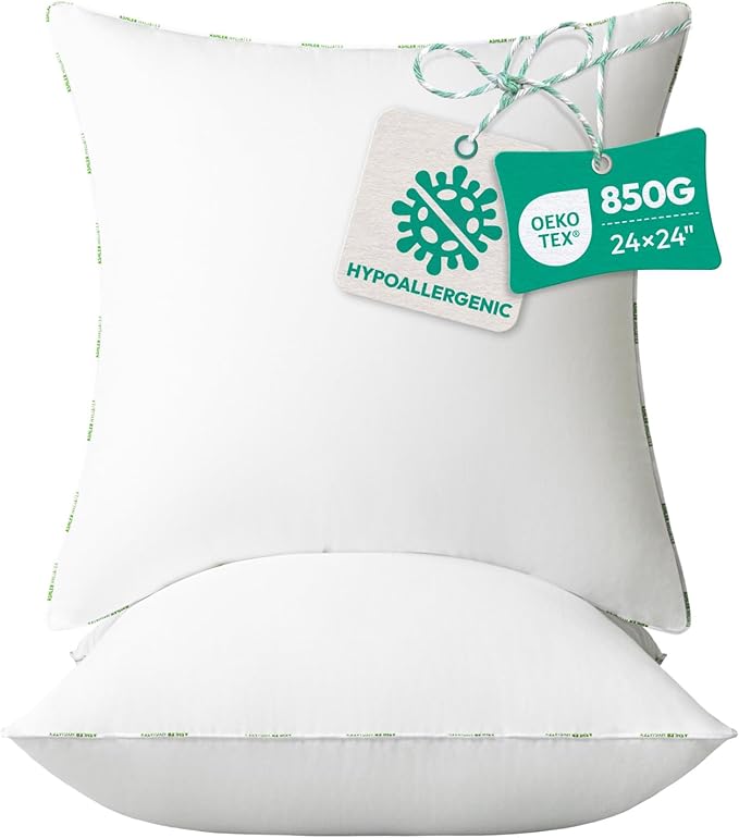 Ashler Home Deco Throw Pillow Inserts (Pack of 2, 24 x 24 Inches, White) - Hypoallergenic 100% Virgin Fiber Square Form Microfiber Throw Pillows for Bed and Couch Pillows | Indoor Decorative Pillow