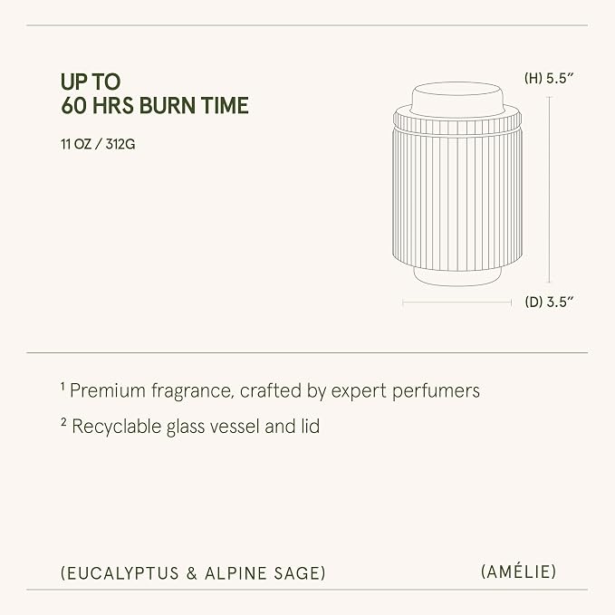 LA JOLIE MUSE Eucalyptus & Alpine Sage | Eucalyptus, Lavender & Sage Candle for Home Cleansing| 11 oz Natural Soy Wax Candle | 60 Hours Clean Burn