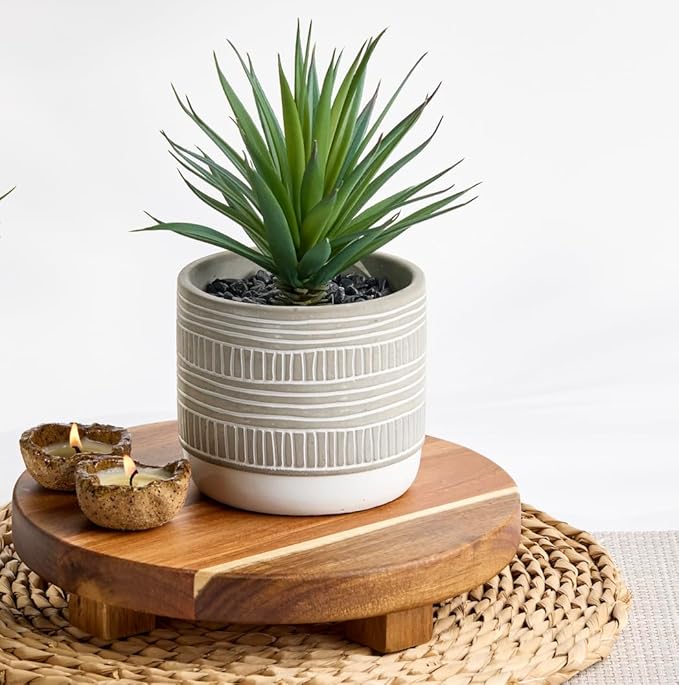 Kurrajong Farmhouse Artificial Plant | 8" Fake Plant for Desk Decor | Artificial Succulent in Pot | Fake Succulent | Faux Plant Indoor | Artificial Greenery for Shelf Decor