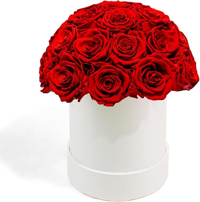 27 Preserved Roses in Round Dome Shape, Mother's Day Real Forever Flowers Rose Box, Eternal Rose Gift for Her Women Girl Friend Wife, Flower Gift for Valentines Day(Red)