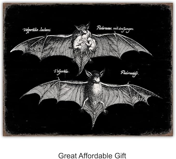 Black Bats Gothic Wall Decor - Vintage Retro Wall Art & Decor - Room or Home Decor - Hipster decoration - Horror Vampire bat Gift - Creepy Scary Anatomical Picture Poster print Set 8x10 UNFRAMED
