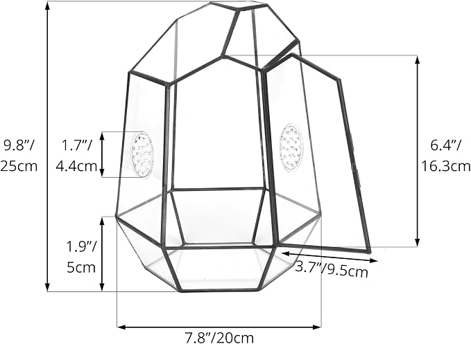 NCYP Closed Geometric Glass Enclosure with Front Opening Door & 2 Vent Holes for Insects, Snail, Moss, Fern - 7.9"x6.9"x9.8" Black Irregular Terrarium - Home Garden Tabletop Decor (No Plants)